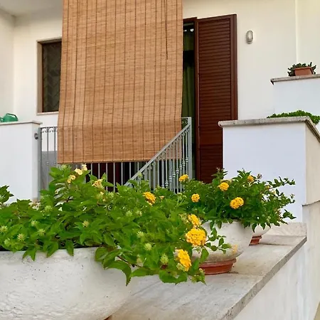 펜션 Nepitella Casa Vacanze *